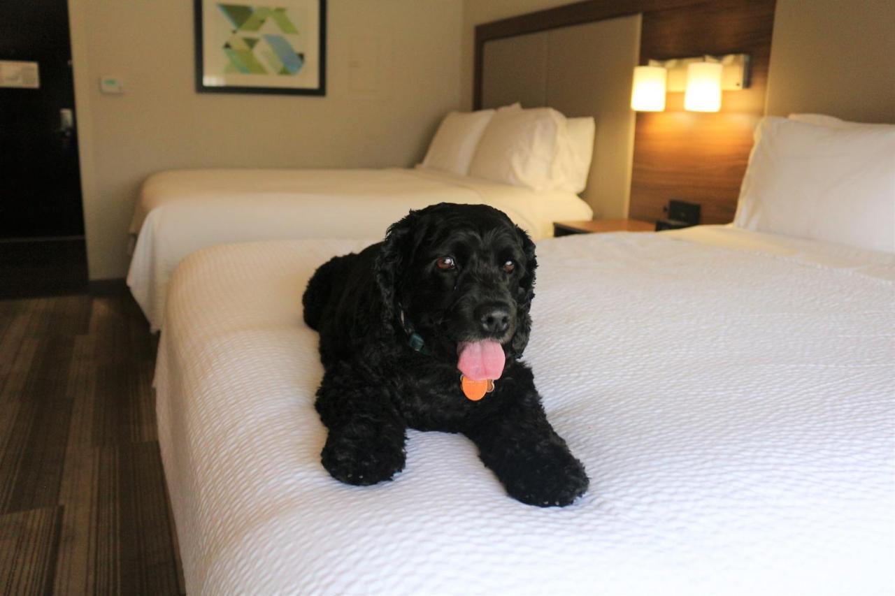 Holiday Inn Express & Suites Albuquerque Historic Old Town By Ihg מראה חיצוני תמונה
